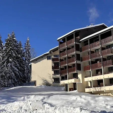 Aux Carroz 4 Pers, Balcon, Proche Commerces Et Pistes - Fr-1-572-254 Arâches