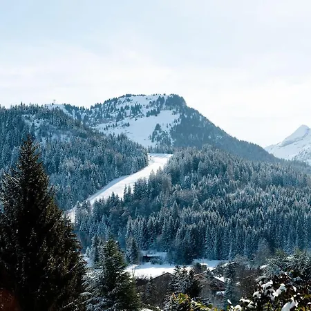 Aux Carroz 4 Pers, Balcon, Proche Commerces Et Pistes - Fr-1-572-254 Appartement Arâches